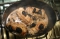 Kaninchenrollbraten mit Backpflaumen